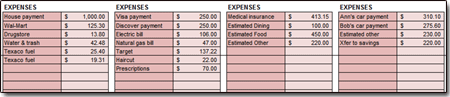 BoxBudget Expenses Section - Click to Enlarge