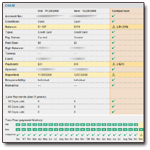 TransUnion Change Report - Item Detail